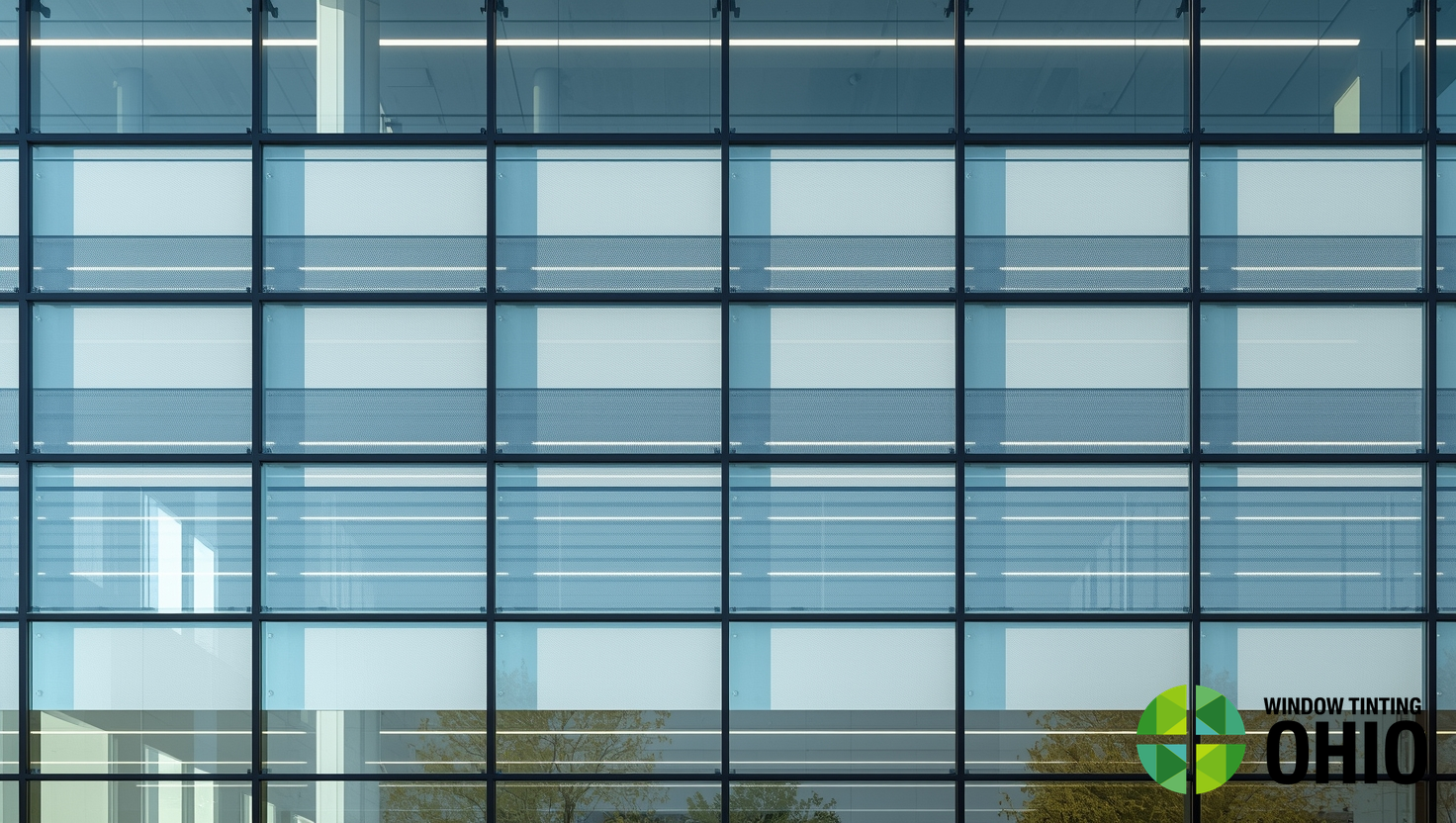 Bird Strike Window Film in Ohio: Make Glass Safer for Wildlife - Window Tinting Ohio