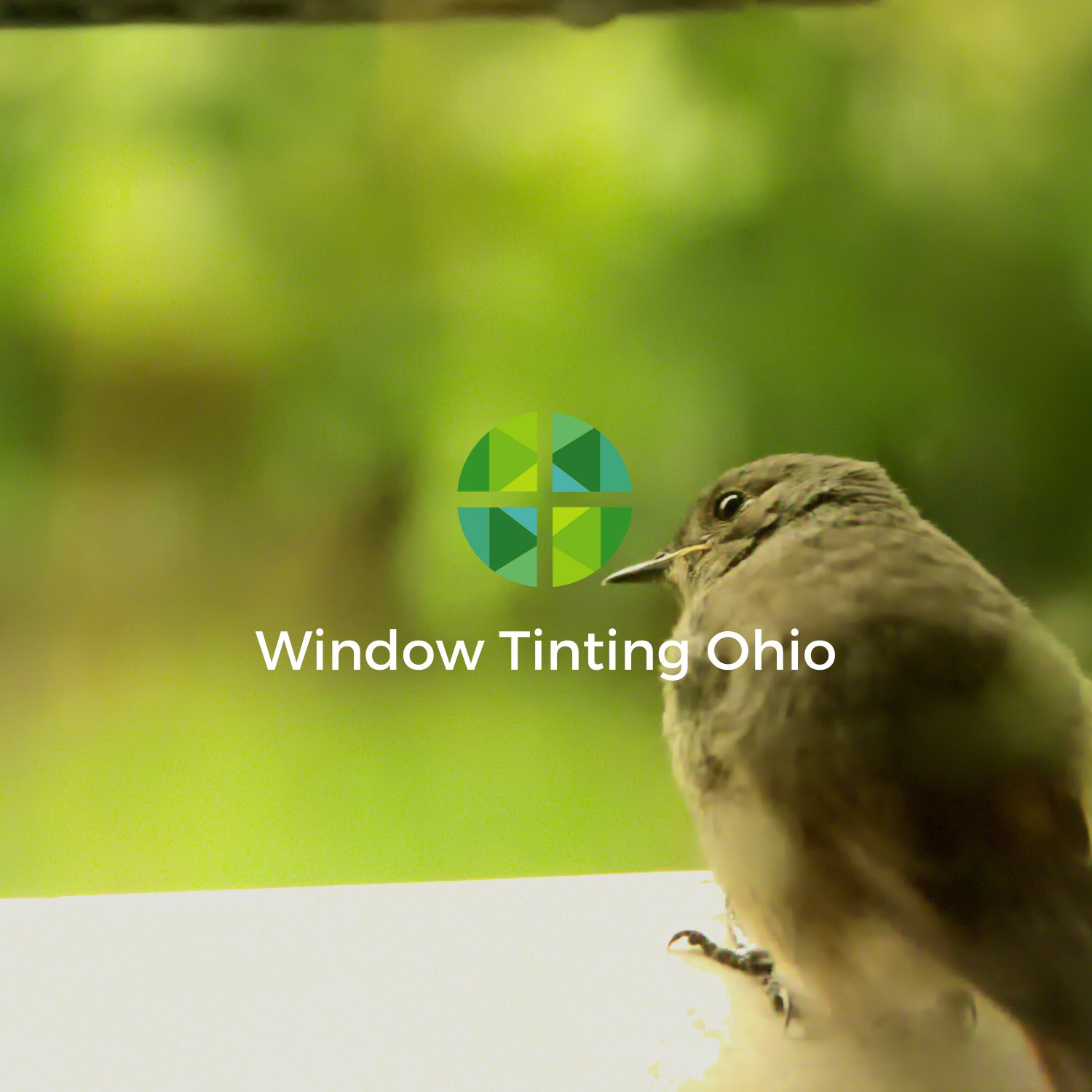 Window replacement pros and cons Ohio